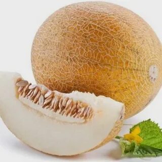 Прозрачная дыня