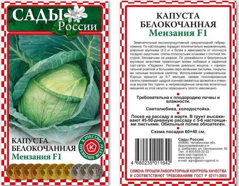 Купчиха сорт капусты отзывы. Мензания капуста описание. семена капусты мензания f1. капуста белокочанная купчиха. парел f1 капуста описание.