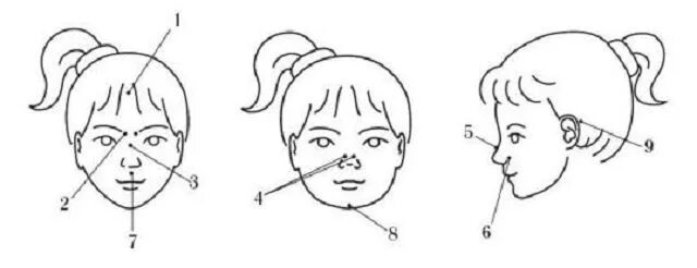 Массаж точек при аденоидах у детей. Точки для массажа при аденоидах. Схема лечения аденоидов у детей 2. Массаж точек при аденоидах у детей. Рекомендации после аденотомии ребенку.