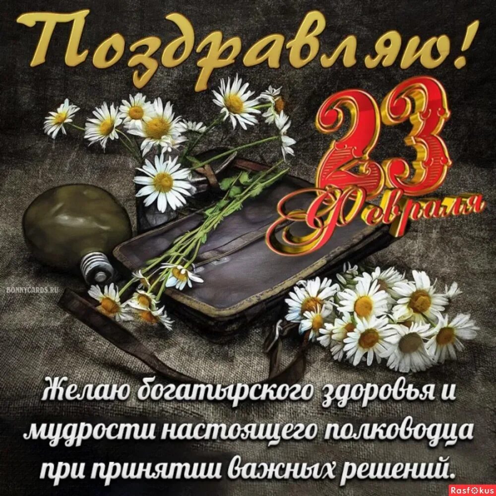 С 23 февраля другу семьи. С 23 февраля. Поздравление с 23 февраля. Открытка 23 февраля. Поздравление с 23 февраля мужчинам.