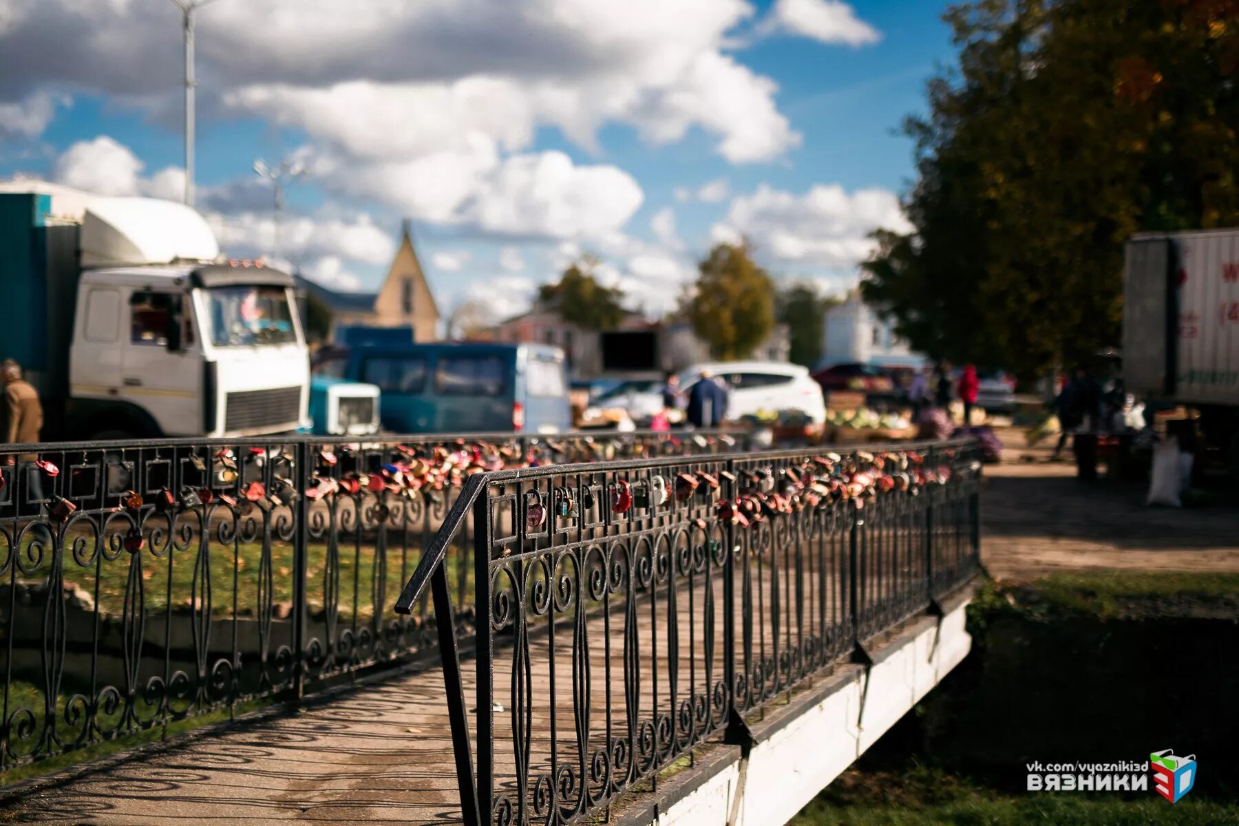 куры вязники. куры вязники. кудряшова елена вязники. куры вязники. куры брама светлая.