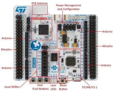 Stm 55
