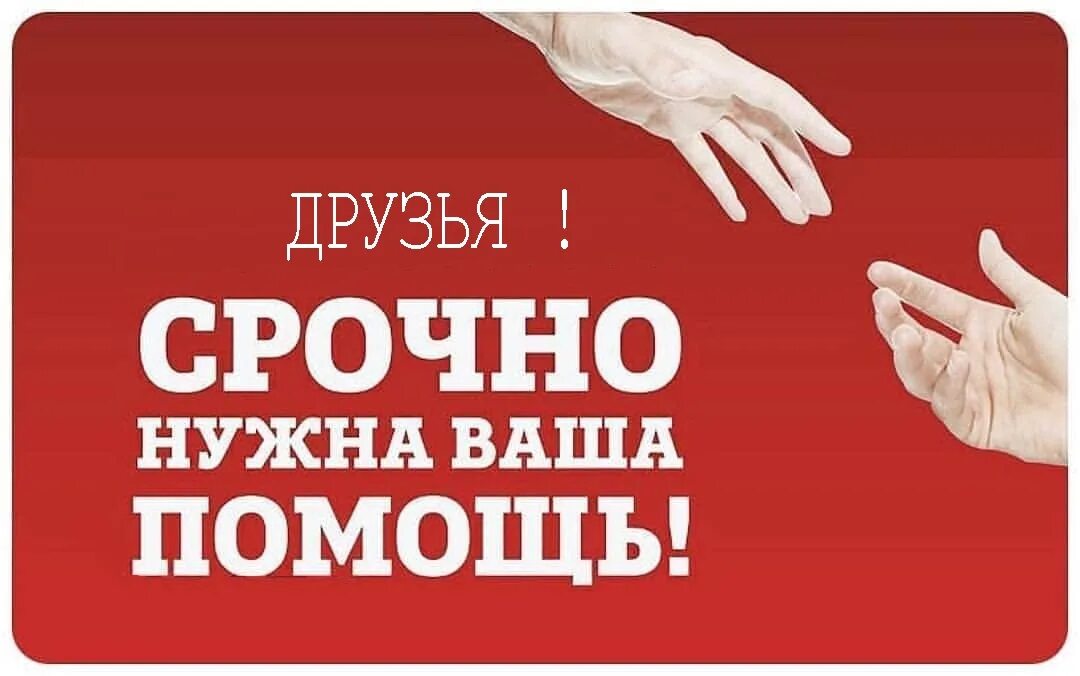 Прошу помочь ответами. Нужна помощь. Прошу помощи. Нужна ваша помощь. Срочно нужна ваша помощь.