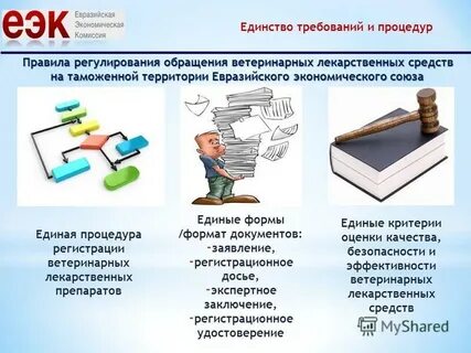 Регистрационное досье
