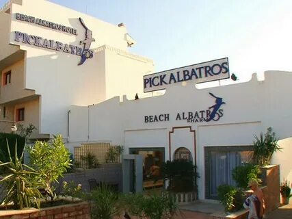 Pick albatros sharm