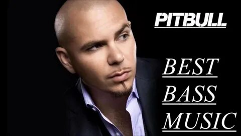 Hey girl pitbull