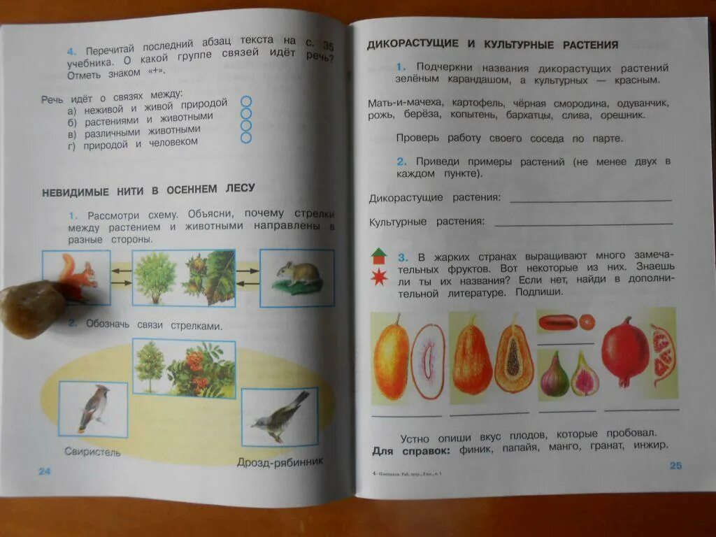 Окружающий 3 класс 2 часть страница 49