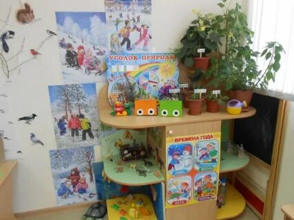 Уголок природы цель в подготовительной группе