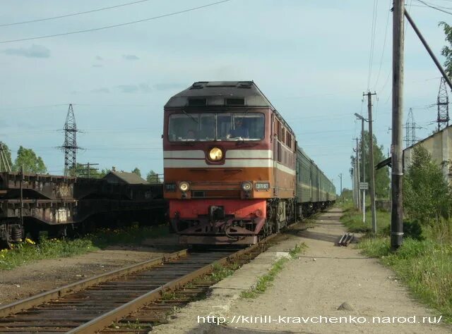 Погода в тесово нетыльском на 10. Тёсово-Нетыльский. Рогавка Новгородская область. Тесово 4. ЖД станция Рогавка.