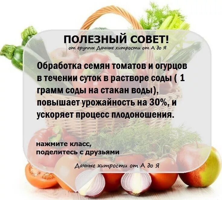 Советы для огородников и садоводов. Полезные советы. Полезные советы для огородников. Сад и огород полезные советы.