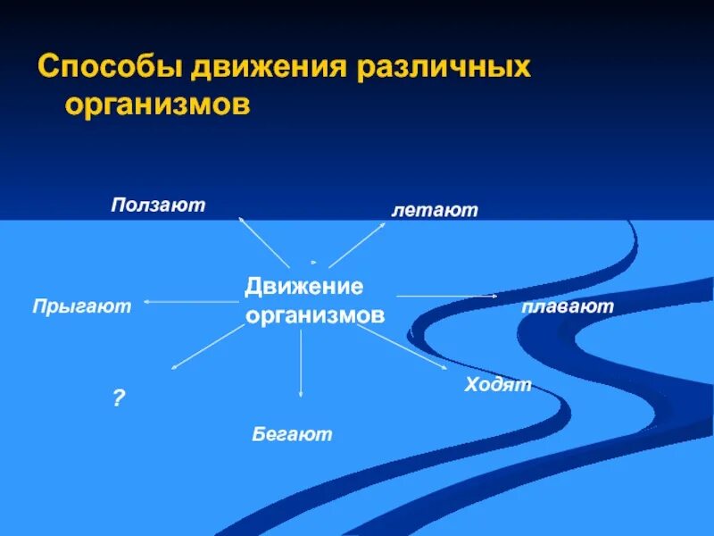 Типы передвижения. Способы движения живых организмов. способы передвижения живых организмов. биология тема движение. движение живых организмов презентация.
