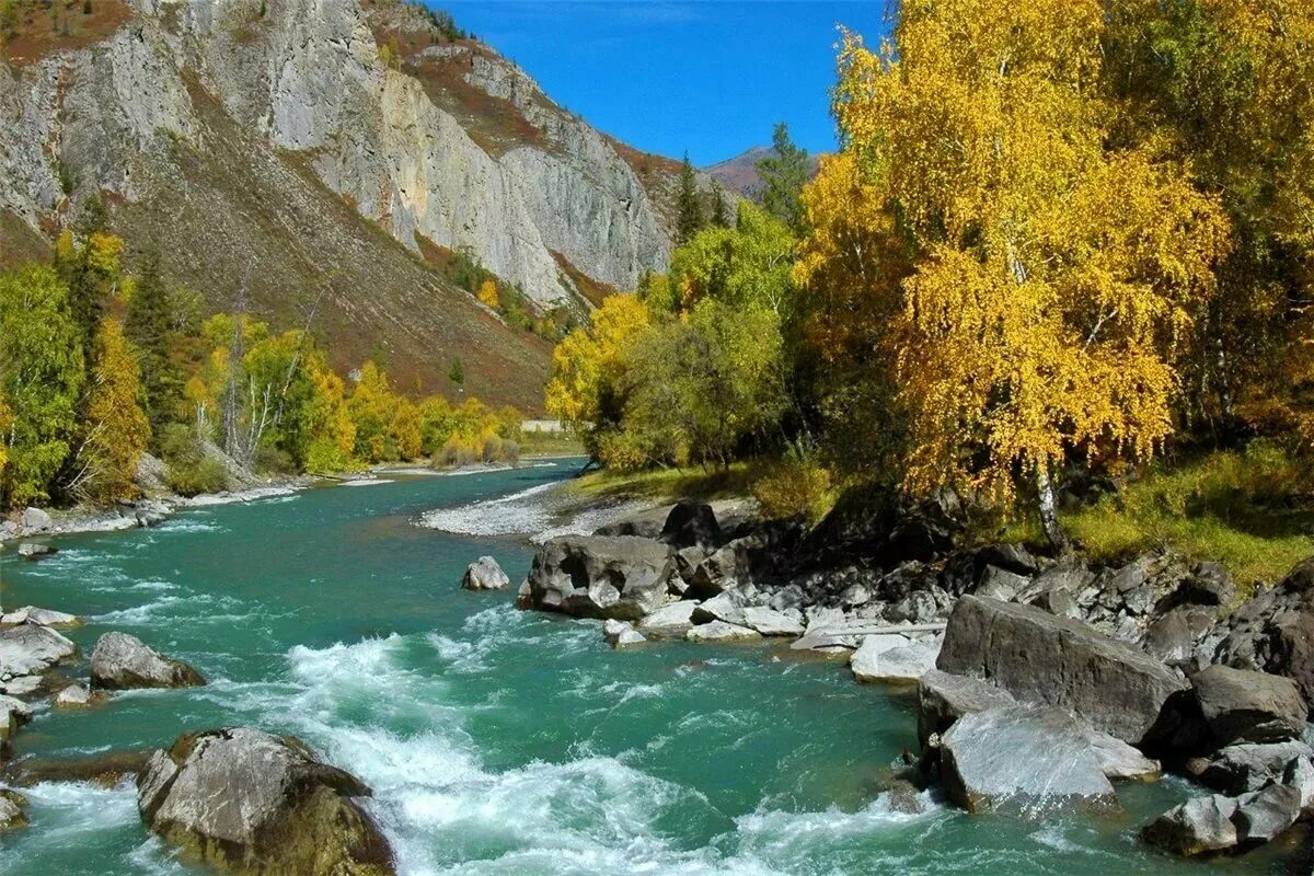 Горно алтайск катунь. Горно Алтайск река Катунь. Река Катунь Алтай осень. Река Катунь Горно Алтайск осень. Река Чуя горный Алтай.