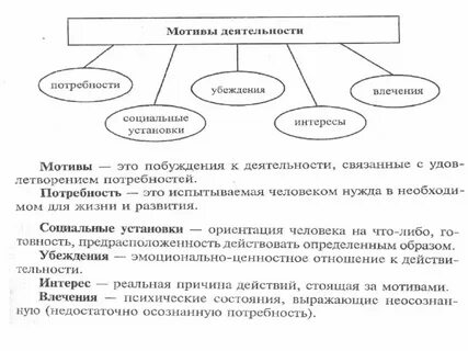 Мотивы деятельности социальные установки