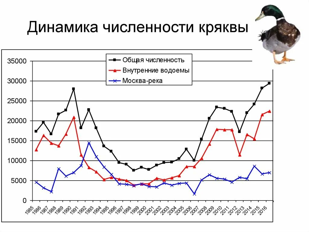 Рассмотрите диаграмму на которой изображена динамика численности. Диаграмма изменения численности животных. Динамика численности популяции. Изменение численности популяции. Графики изменения численности популяций.