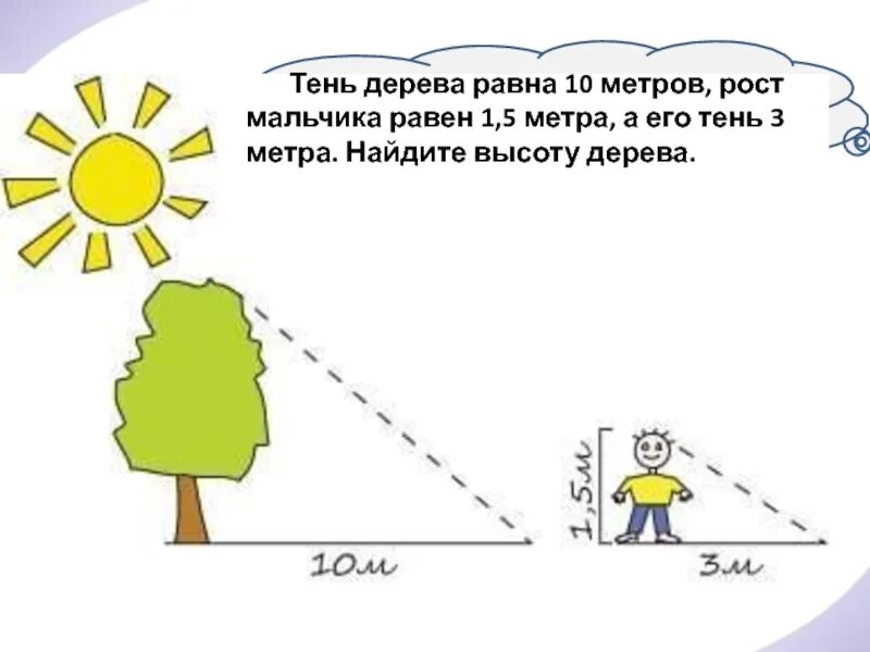 Найти длину тени дерева. Тень от дерева в полдень. тень дерева определить высоту. длина тени дерева. тень от дерева высотой 5 метров.