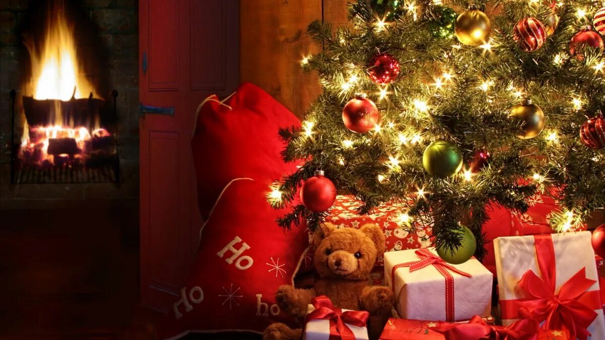 Так под елкой с поднятыми вверх. Новогодние подарки под елкой. Так под елкой с поднятыми вверх. Кошка и новогодняя елка. Новый год елка.