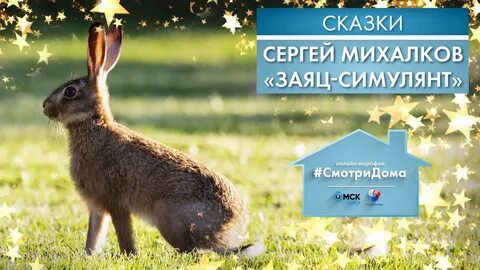 Аудио зайца
