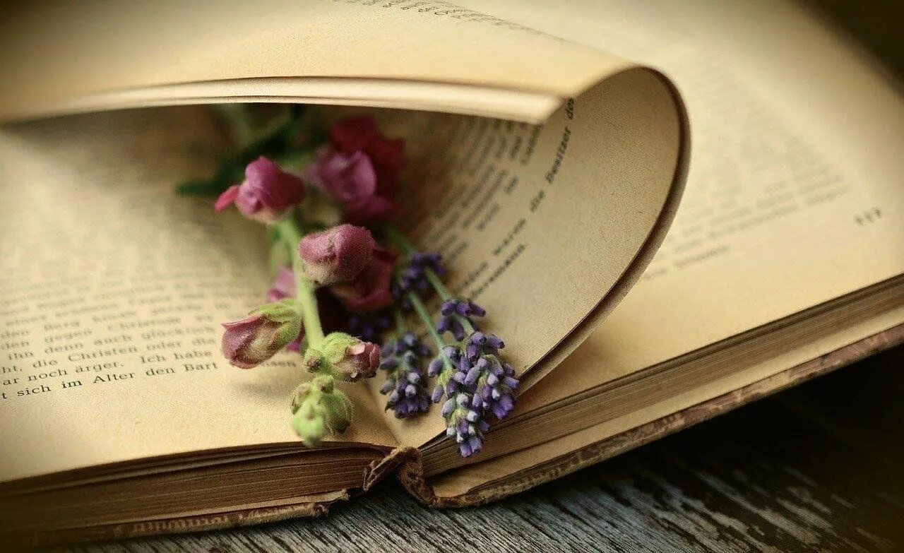 Раскрытая книга. Стихи книга. Поэзия. Книги поэзия. Книга стихи фото.