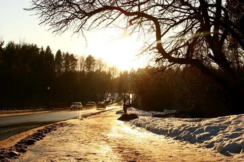 Вербовский муром