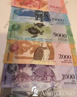 1000 2000
