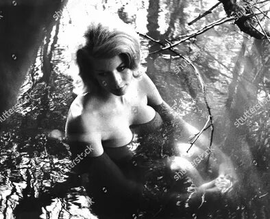nimbleworldwide.com Joy harmon nude 🔥 Rare Joy Harmon Nude Free Porn.