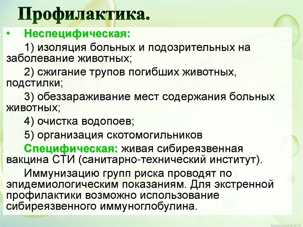 Чем лечат чуму. Способы профилактики чумы. Профилактические мероприятия чумы. Чума профилактика заболевания.