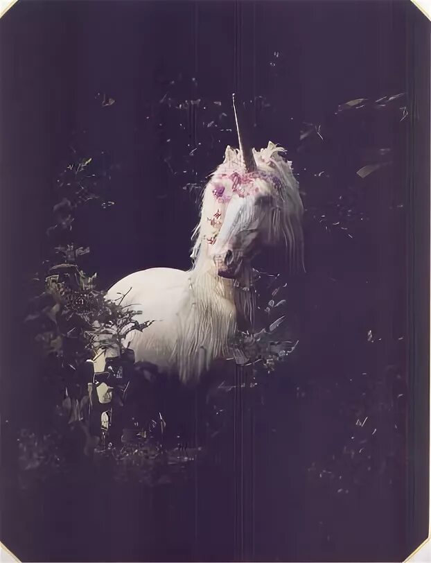 C unicorn