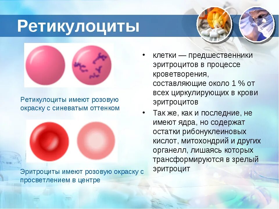 Что означает повышенные эритроциты в крови. Строение и функция ретикулоцитов. Исследование уровня ретикулоцитов. Норма эритроцитов и ретикулоцитов. Ретикулоциты строение и функции.