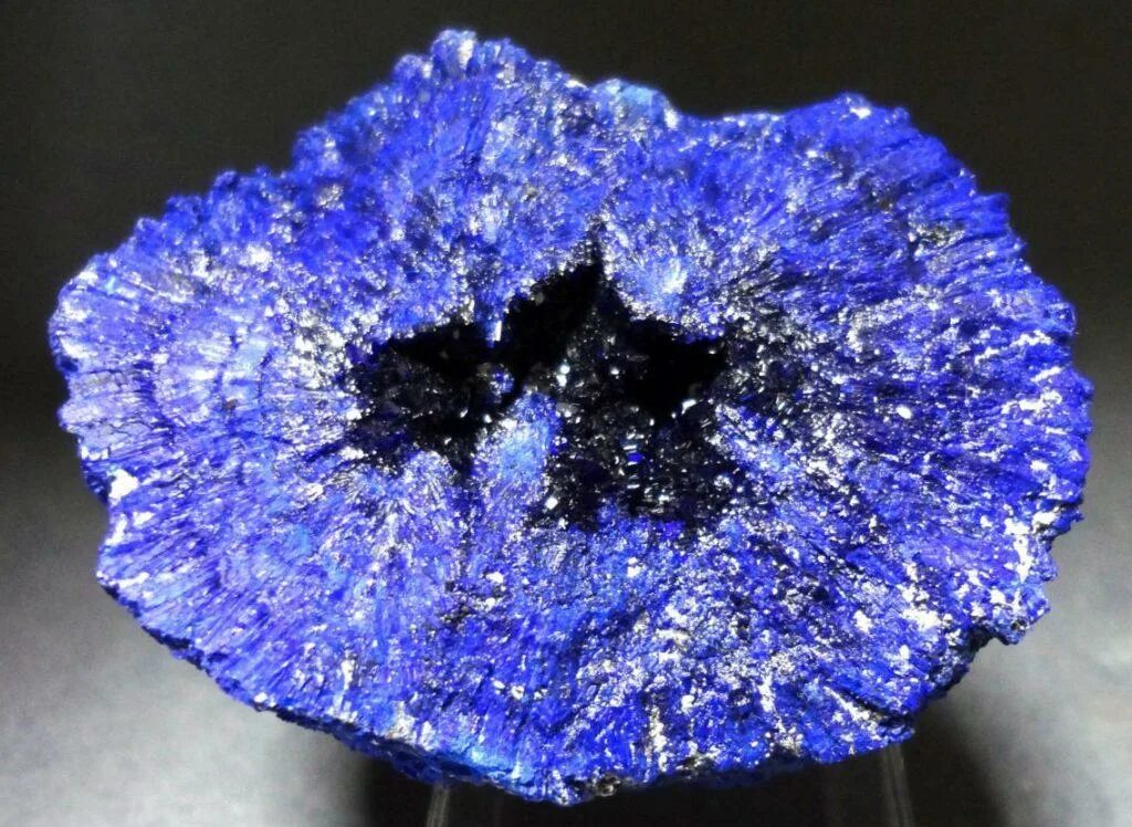 Сапфир. Голубой цвет. Твердыми синего цвета. Гортензия крупнолистная индиго. Роза индиго.