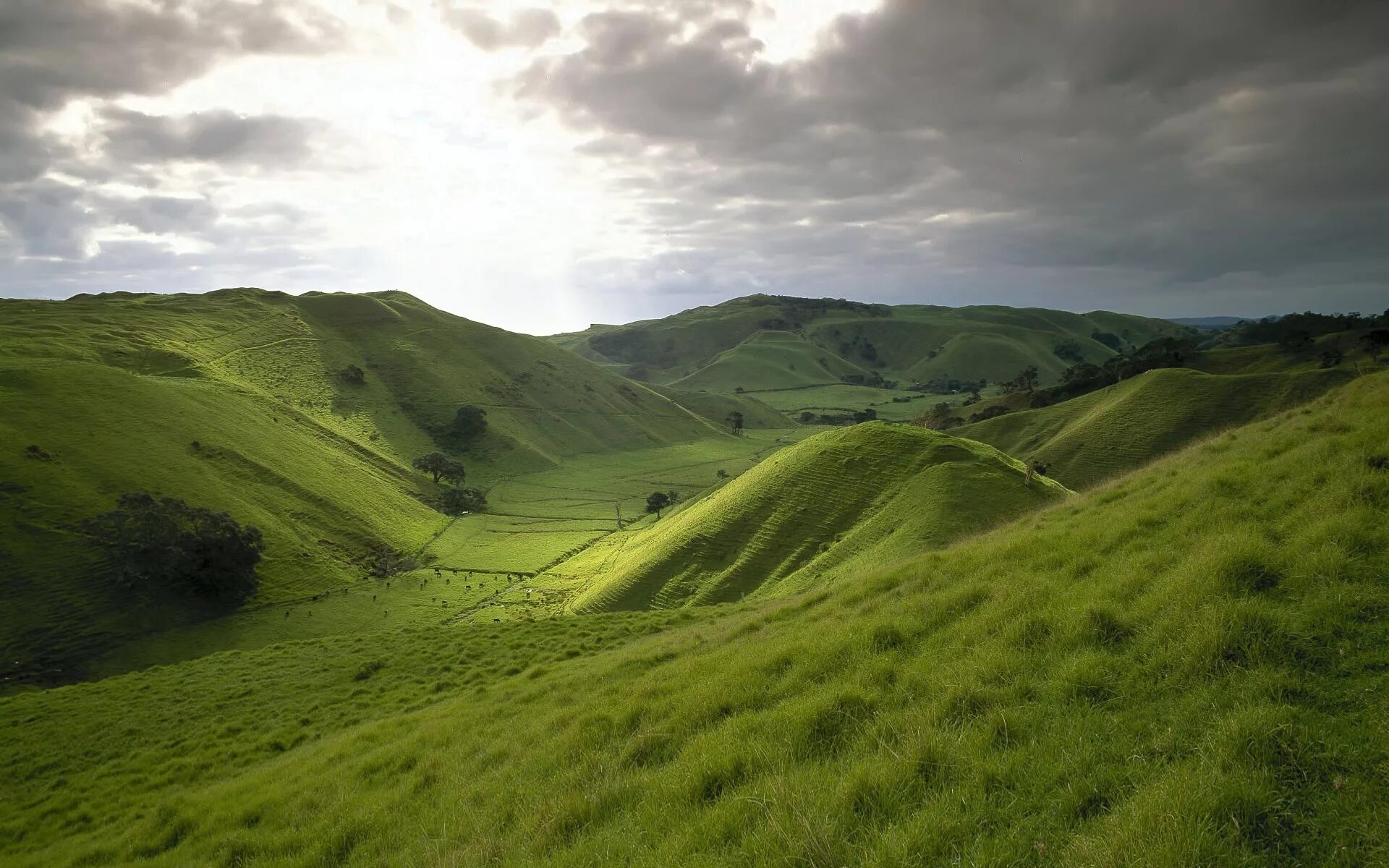 Поле холмы. Штирийско-бургенландская Холмистая равнина. Green Hills зеленые холмы. Холмы и Луга Ирландии. Холмы Бомбей новая Зеландия.