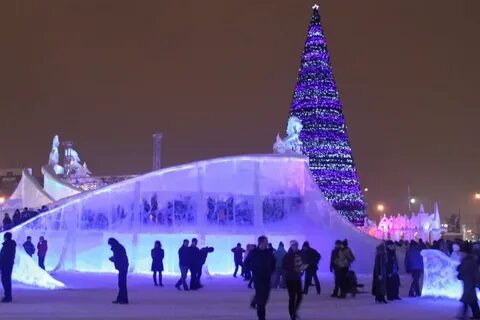 Новогодние березники