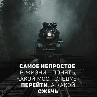 Понимать жизненный