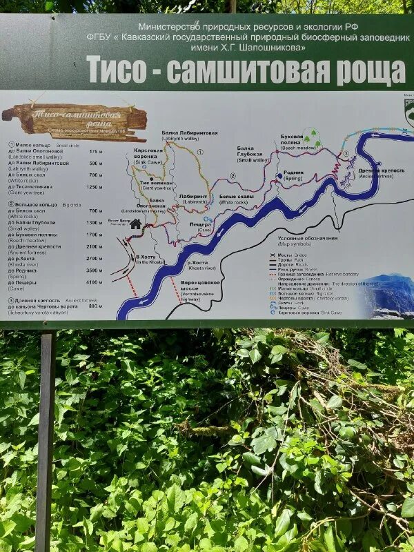 Комарово маршрут прогулки. Линдуловская роща на карте. Линдуловская роща маршрут прогулки. Тисо-самшитовая роща сочи карта. Линдуловская роща экотропа.