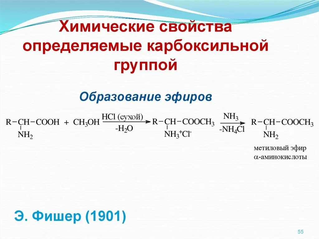 Реакция образования аминокислот. Химические свойства аминов и аминокислот. химические реакции аминокислот. образование эфиров аминокислот. хим свойства аминокислот.