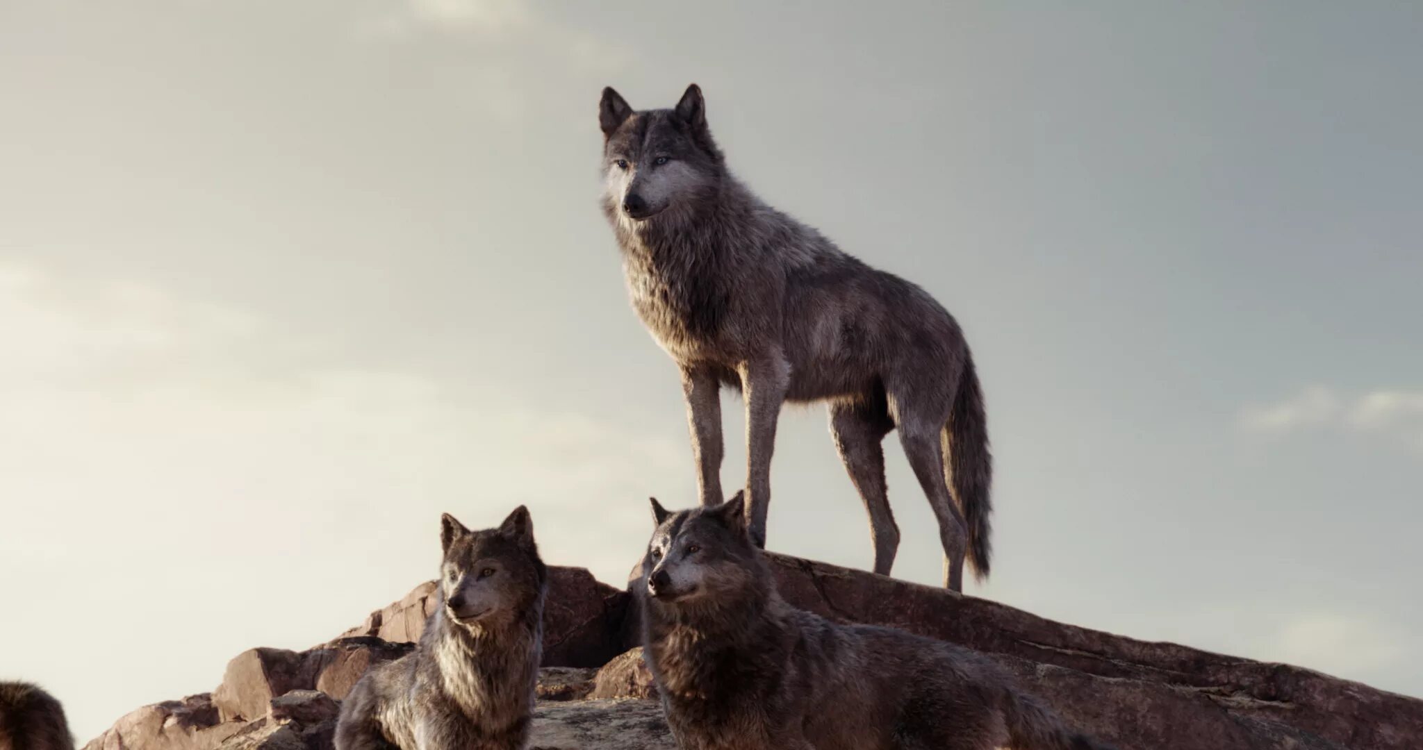 One with the wolves