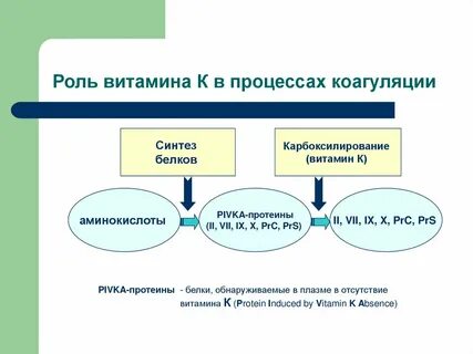 Роль витамина к в свертывании