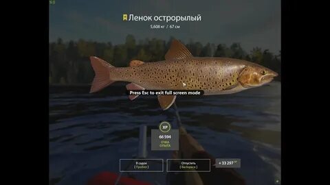 Уровень тунгуски