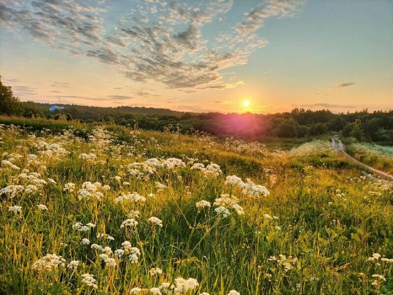 широко раскинулось поле