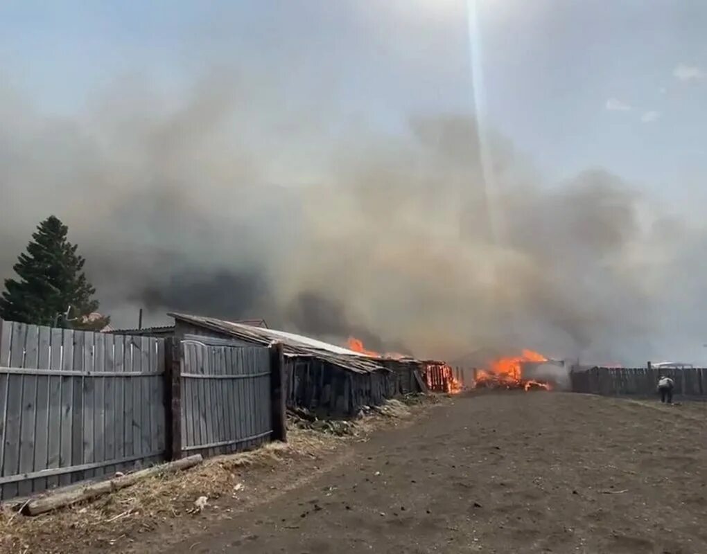 Пожар в белой лошади. Белый Яр Ачинск пожар. Белый Яр Ачинский район пожар. Белый Яр Ачинский район. Белый Яр (село, Ачинский район).