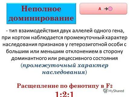 Частичные типы
