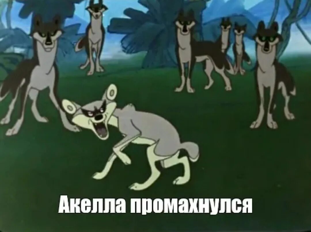 Акела волк из маугли. Акела волк из маугли. Волк акелла маугли. Маугли мультфильм 1973 акелла. Волк акелла маугли.