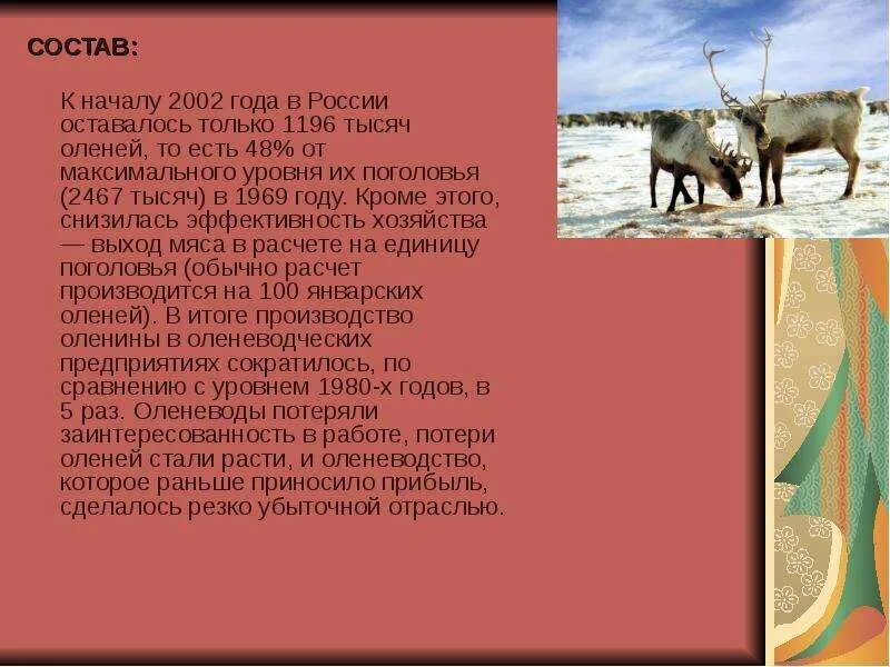 Оленеводство презентация. Оленеводство отрасль животноводства. Проект на тему оленеводство. Оленеводство сообщение