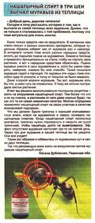 Народные методы от муравьев