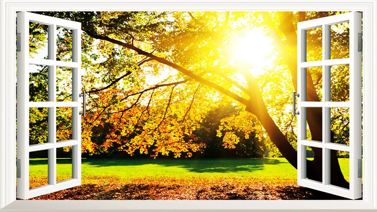 отражение солнца в окне. у окна. солнечные лучи в окне. пластиковое окно. солнечные окошки.