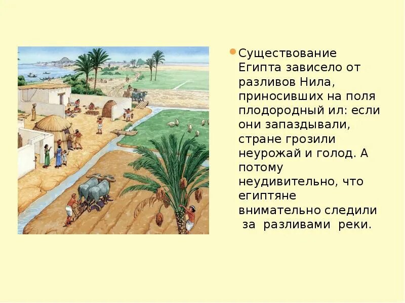 Что такое ил в истории 5 класс