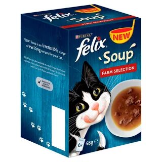 Кошачий суп
