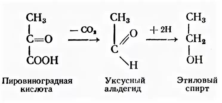 Этилового спирта получить кислоту