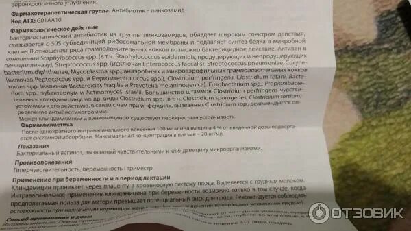 Свечи при беременности 2 триместр форум. Суппозитории акрихин. акрихин при беременности 2 триместр. клиндацин свечи от streptococcus spp. акрихин свечи при беременности от чего помогает.