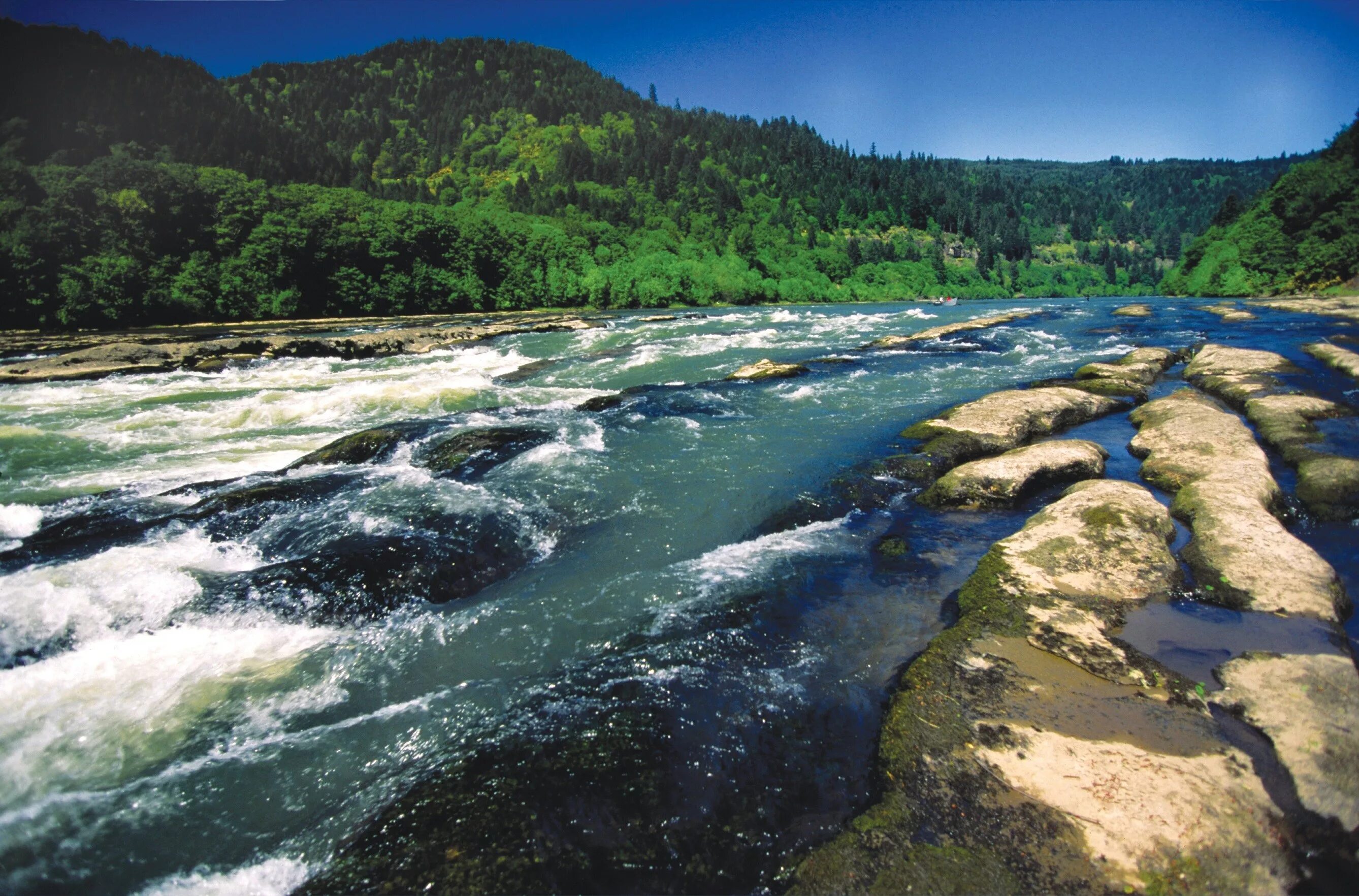 Горный поток. Национальная река уакато. Поток с горы. Картинки новых рек. River coast