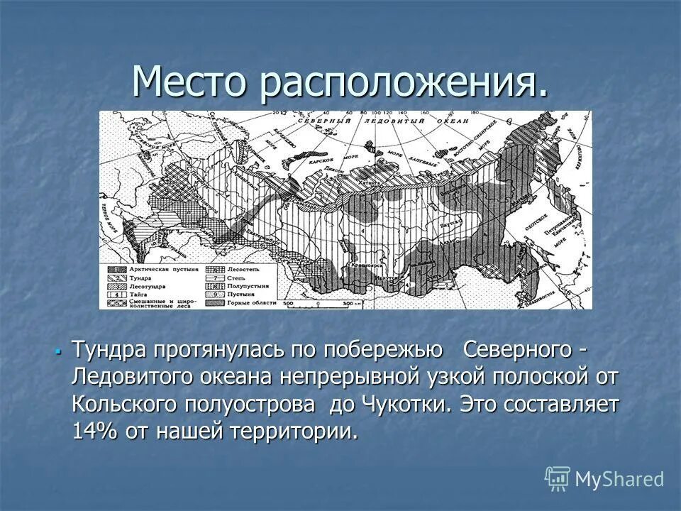 местоположение тундры. географическое положение тундры в россии. географическое положение зоны тундр россии на карте. местоположение тундры. природная зона тундра географическое положение.